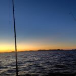 ～弊社社員が釣りに行った話～